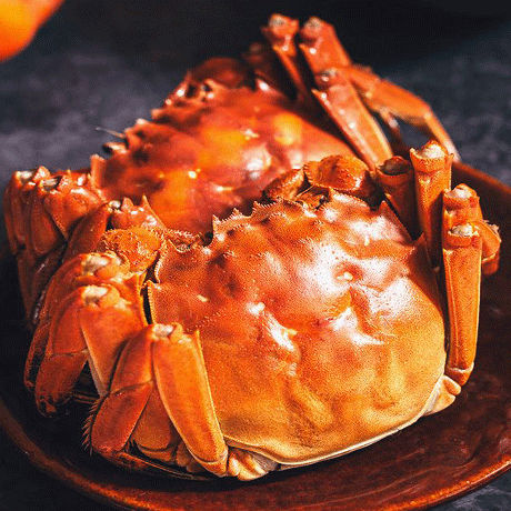 量子美食-产品中心